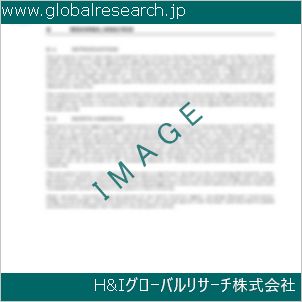 グローバルリサーチ調査資料のイメージ